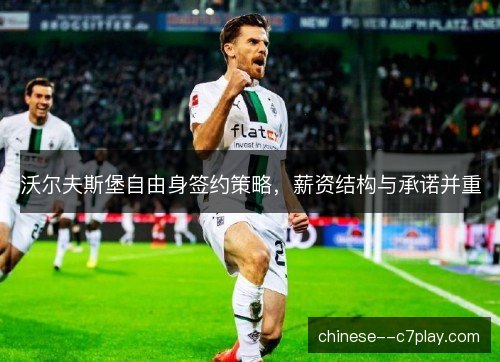 沃尔夫斯堡自由身签约策略，薪资结构与承诺并重